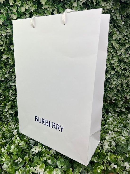 Burberry Handbags - Burberry Authentic Classic Gift Bag / Shopping Bag